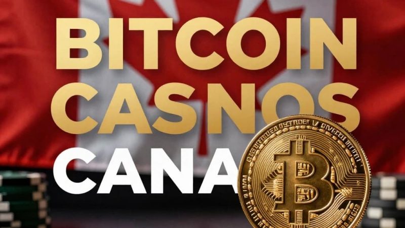 Trusted Crypto Casino in Canada