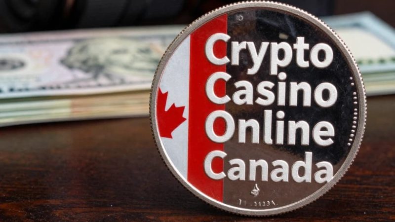 High Stakes Gaming: The Exclusive Experience of Our Blockchain Casino