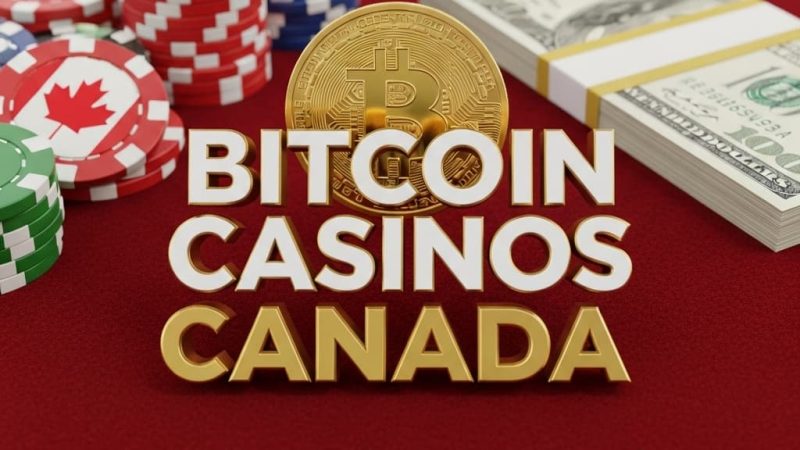 Welcome to the future of online gambling in Canada – a crypto betting site